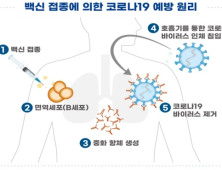 유바이오로직스 코로나 백신 '유코백-19' 1·2상 임상계획 승인