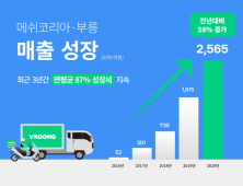 ‘부릉’ 메쉬코리아, 지난해 매출 2565억…전년比 58% 증가