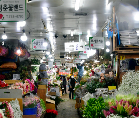 한산한 남대문꽃시장