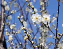 [오늘 날씨] 오전 쌀쌀한 날씨…아침 최저기온 영하 13도 