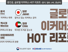 중진공, 글로벌 이커머스 HOT 리포트 발간