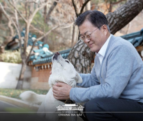 문 대통령, 페이스북으로 반려견 공개