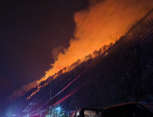 강원도 정선 산불, 속초·고성 악몽에 산림당국 긴장...18시간만에 진화