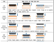 '마이크로니들 의약품' 시장규모 12억만 달러 전망…정부, 제품화 지원