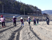 거창사건추모공원, 계절 꽃 경관특화단지 조성 첫발