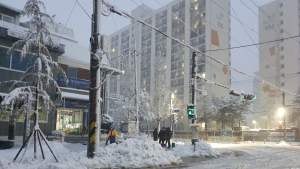 제설 중인 속초 노학동 주민센터 직원들
