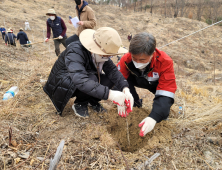 남부지방산림청, ‘탄소흡수림’ 조성 첫발..2050년까지 30억 그루 식재