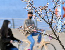 국내 코로나 신규확진자 18일 0시 445명…경기 155명·서울 124명