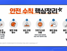 전동킥보드 16세 이상 면허증 소지자만 허용