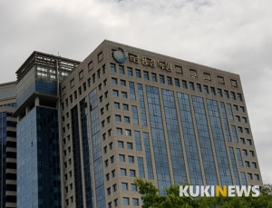 자본시장판 LH 사태? 억울한 금감원 “이미 감사원에서도 다 검증 마친 사안”