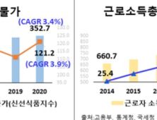 밥상물가·세금 못 쫓아가는 '월급'···내 집 마련 기대는 사치