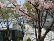 숭실대학교 글로벌미래교육원, 2021년도 2학기 신편입생 모집