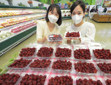 농협유통 하나로마트에서 산딸기 맛보세요   