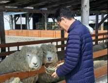 [신형환의 길...멋따라 맛따라] 대관령 양떼목장, 치악산 구룡사