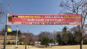 [강릉 단신]강남동주민센터, 벚꽃 명소 방문객 통제 등