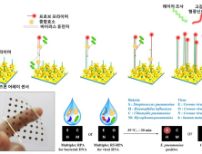 세계최초 '30분 이내' 호흡기 병원체 검출 기술 개발  