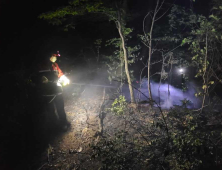 합천서 야간에 산불 발생