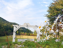 국립자연휴양림, 5월 가정의 달 고객 감사 이벤트 진행