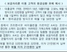  방문판매원 등 특수고용직, 주담대 원금상환 유예