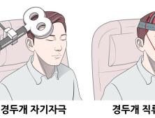 신경과·정신과 치료법 접목한 난치성 이명 치료법 개발