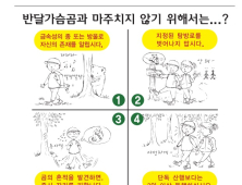 광양 백운산 일대, 반달가슴곰 출현..주의 요구