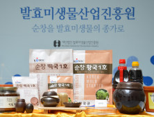 순창황국1호, 일본 유래 균주 대체 대항마로 부상