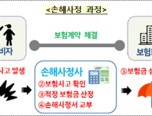 셀프 손해사정 ‘멈춰’…금융당국, 제도 손 본다