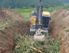 과수화상병 ‘비상’…안동서 11개 농가 6만5169㎡ 발생