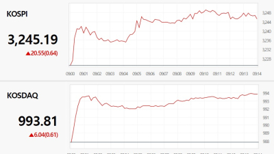코스피, 美증시 호조에 장초반 3240선 강세