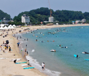 '서퍼들의 천국' 동해안 해수욕장 개장 