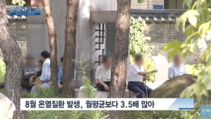 [쿠키건강뉴스] 무더위 온열질환 주의…8월 중 70대 이상 발생 많아 