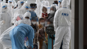 질병청, 아프리카 7개국 감염관리지역 지정…“에볼라 유입 방지”