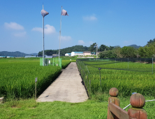 서천군농업기술센터, 벼 품종비교 전시 ... 9월 말까지 개방