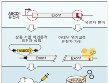 로렌조 오일병, 유전자 교정으로 치료 가능성 확인