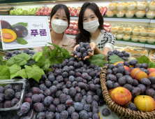 농협유통, 이브의 과일로 불리는 ‘푸룬’ 첫 선