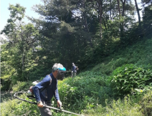 차안에서 영상 시청 '눈 건강' 해친다