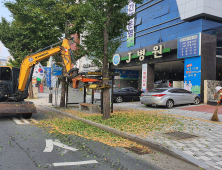 “은행을 털어라”…대구시, 가을마다 ‘은행나무와 전쟁’