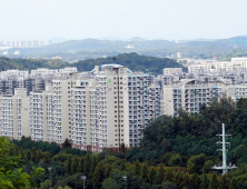 강남도 떨어졌다···서울 아파트값 6주째 하락세