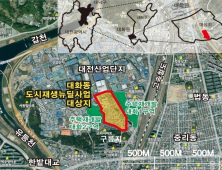 대전 대덕구 대화동, 2021년 도시재생 뉴딜사업 공모 선정