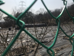 '제대로 작동했더라면'…LH 투기방지 시스템 '무용지물' [국감 2021]