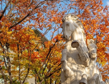 숭실대 글로벌미래교육원 시각디자인학 과정, 비실기전형 신입생 모집 