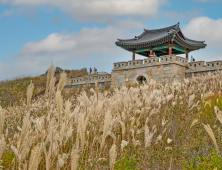 [포토뉴스] 가을 진객 산청 황매산 억새 장관