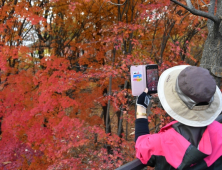 가을산행 뒤 무릎 통증?… 꼭 알아야 할 5가지 사실