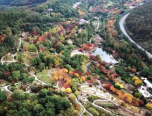 가을 단풍 명소 경북수목원, 코로나19 극복 힐링 장소로 각광 