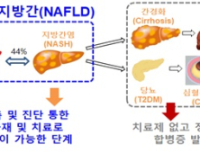 '비알코올성 지방간' 심하면 10년 내 심혈관계질환 위험 4~5배 ↑