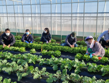 국립농업과학원, 전주시 ‘엄마의 밥상’ 유기농 상추 기부