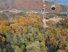 [포토]춘천 삼악산 케이블카 오색물결