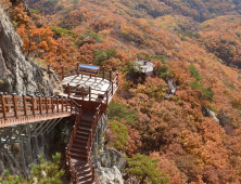 [포토]울긋불긋 단풍 물결...양주 감악산, 단풍 절정