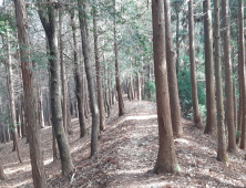 보성군, 산림욕장 새 단장