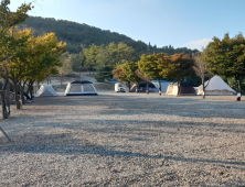 경기도 산지 3만7천㎡ 무단 훼손한 불법행위 대거 적발 